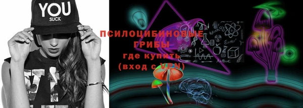 спайс Козловка