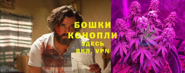 спайс Козловка