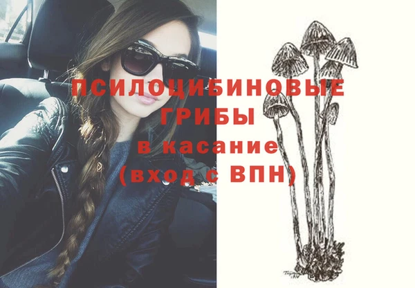 jwh Козельск