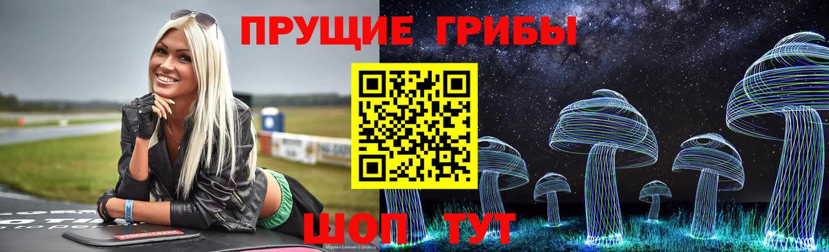 Снежинск  Псилоцибиновые грибы MAGIC MUSHROOMS  Вход с VPN 