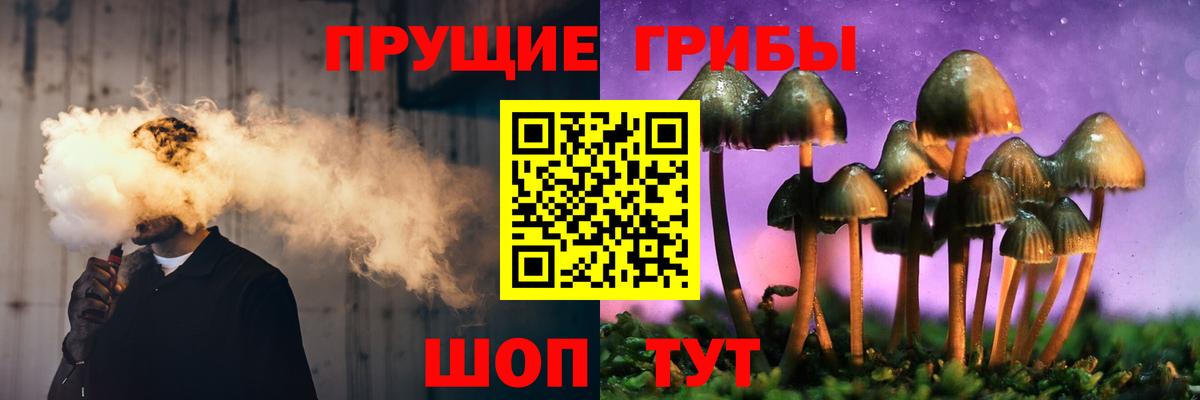 Псилоцибиновые грибы Psilocybine cubensis Снежинск